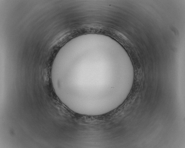 X0000113530774200910161349