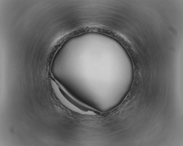 X0000113530775200910161349