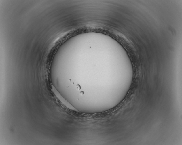 X0000113530776200910161349