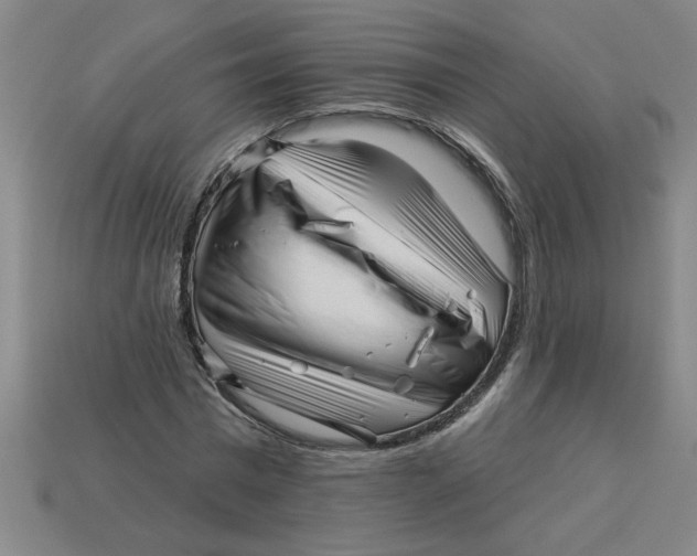 X0000113530777200910161349