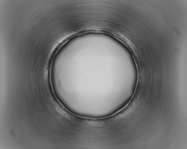 X0000113530779200910161348