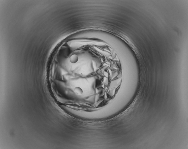 X0000113530780200910161348