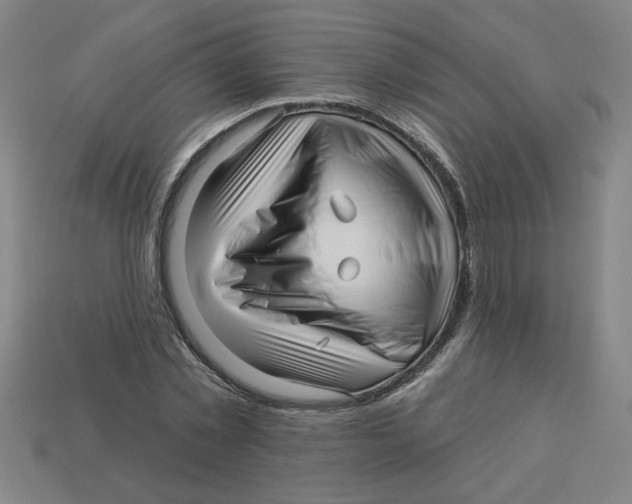 X0000113530781200910161348