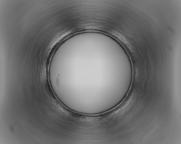 X0000113530782200910161348