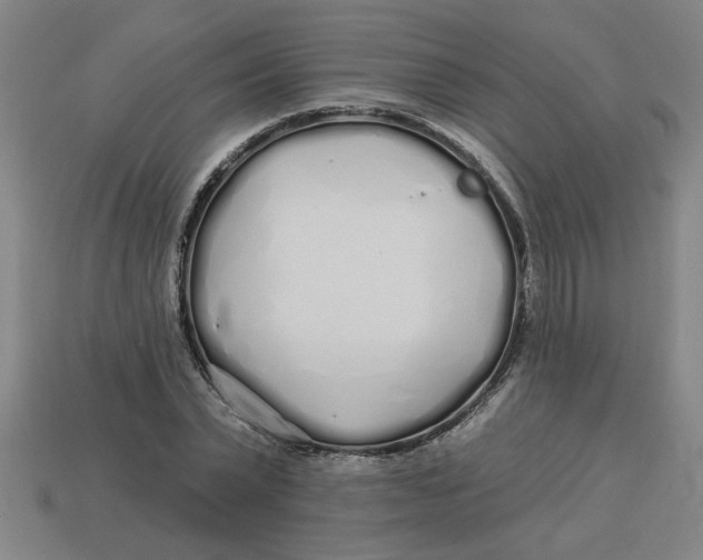 X0000113530783200910161348