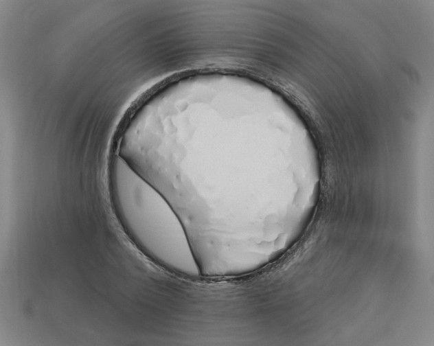 X0000113530784200910161348