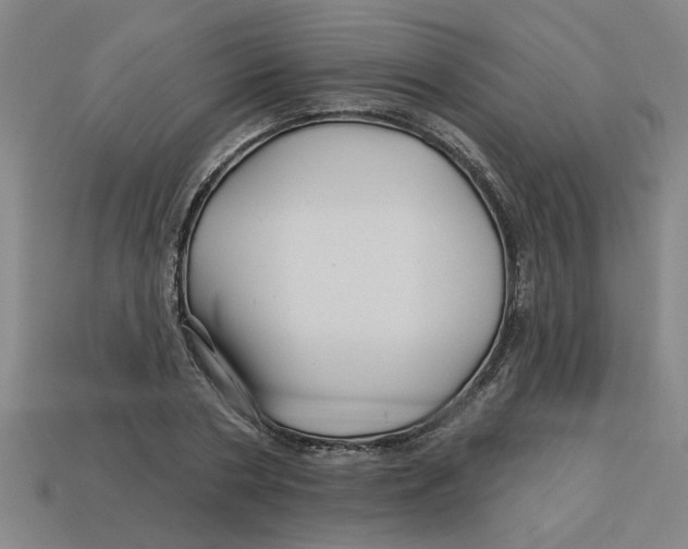 X0000113530786200910161348