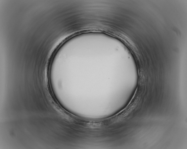 X0000113530788200910161348