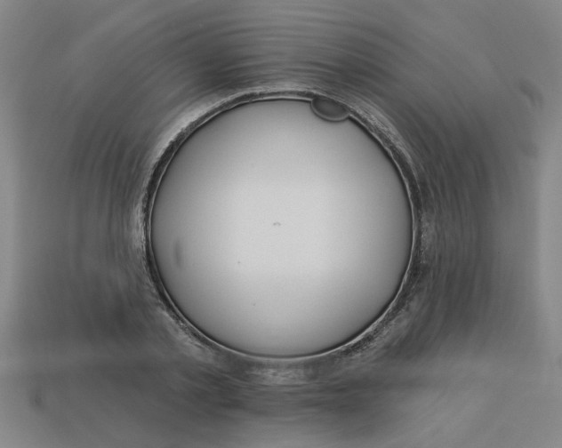 X0000113530789200910161348