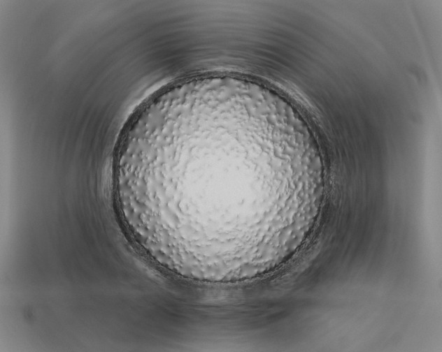 X0000113530790200910161348