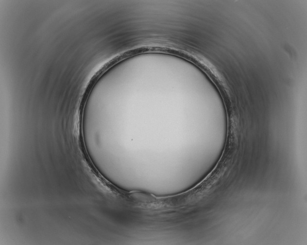 X0000113530791200910161348