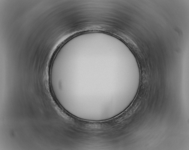 X0000113530792200910161348