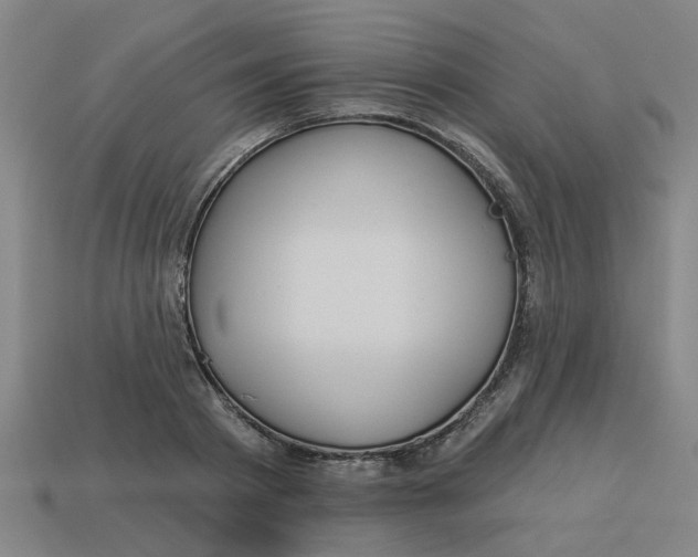 X0000113530793200910161348