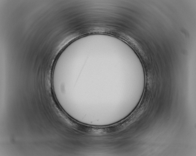 X0000113530794200910161348