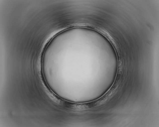 X0000113530795200910161348