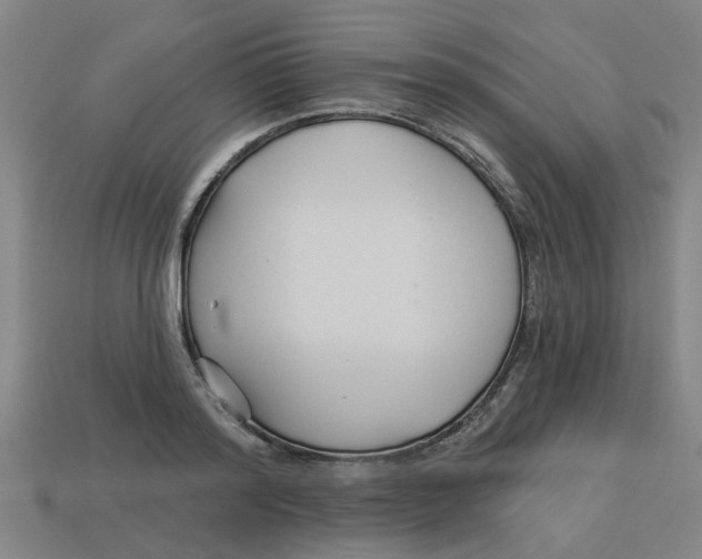 X0000113530796200910161348