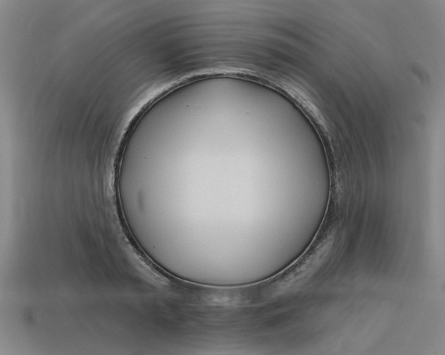 X0000113530797200910161348