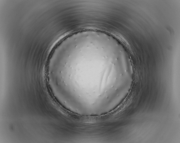 X0000113530798200910161348