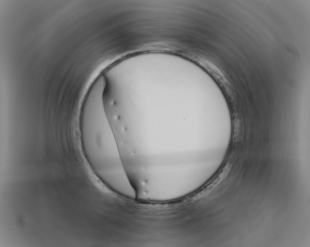 X0000113530800200910161348