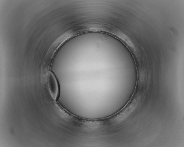 X0000113530801200910161348