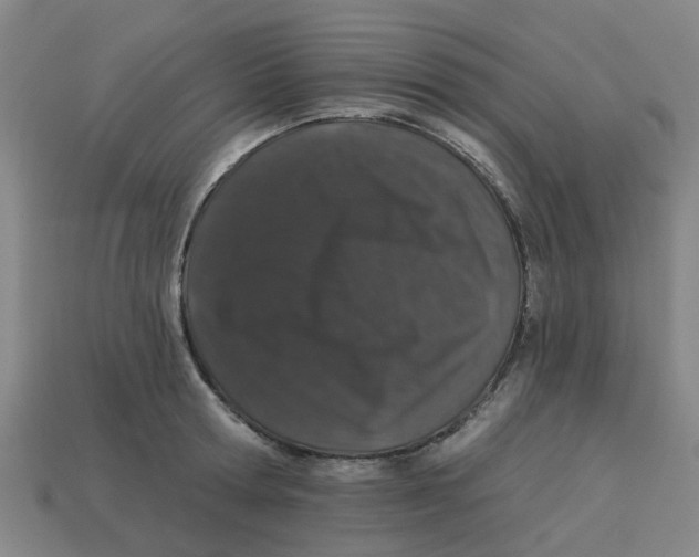 X0000113530802200910161348