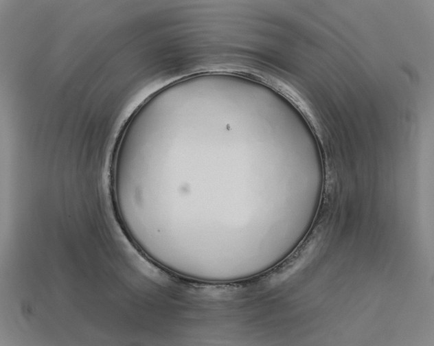 X0000113530803200910161348