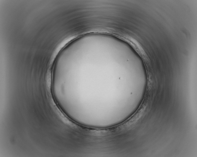 X0000113530804200910161348