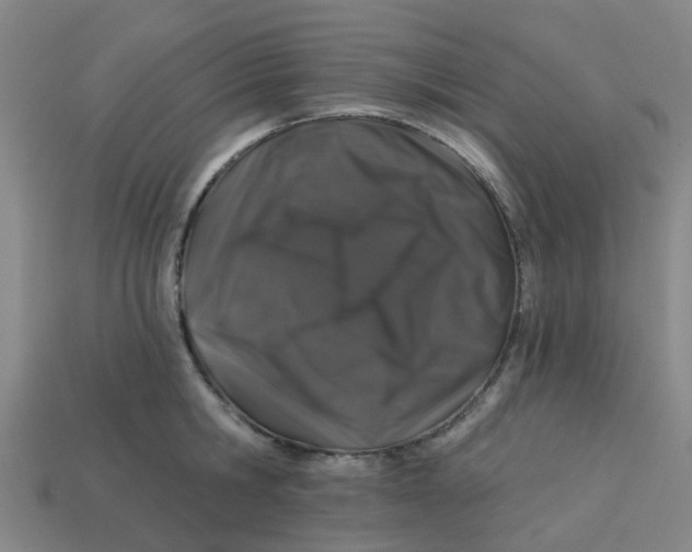 X0000113530806200910161348