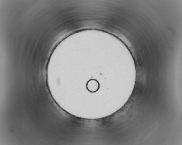 X0000113530807200910161348