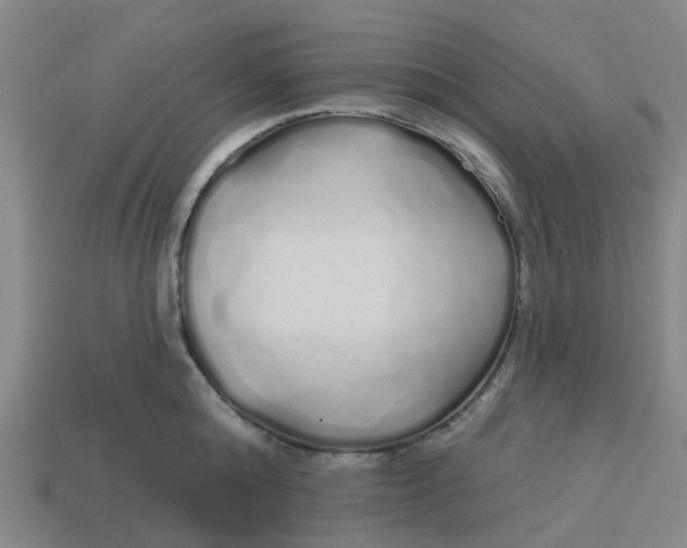 X0000113530808200910161348