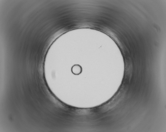 X0000113530810200910161348