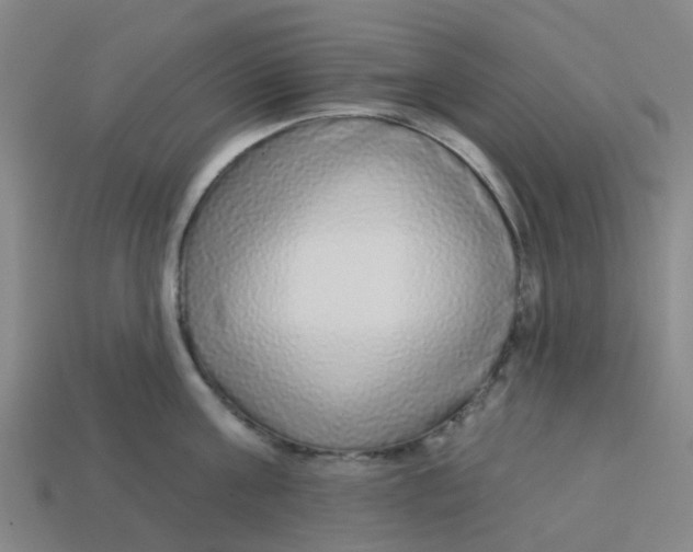 X0000113530811200910161348