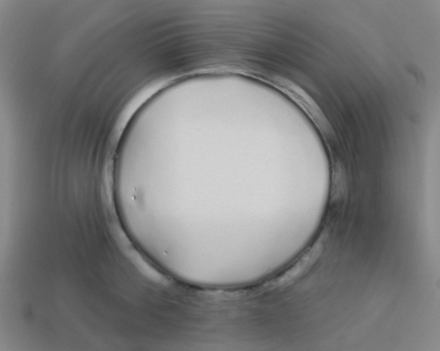 X0000113530812200910161348