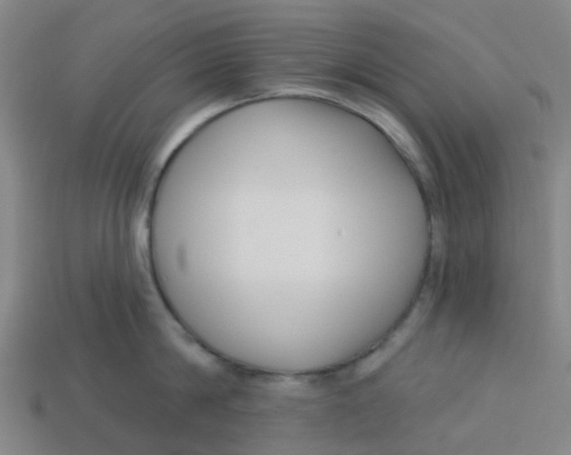 X0000113530814200910161348