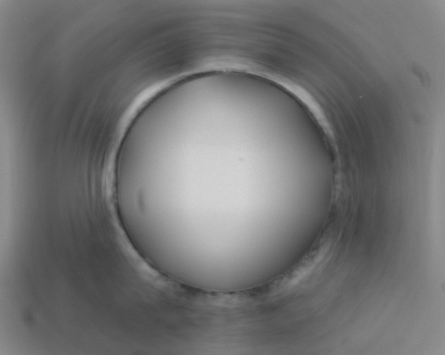 X0000113530815200910161348