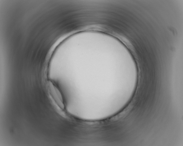 X0000113530816200910161348