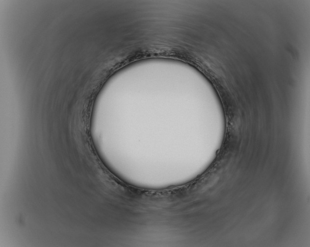 X0000113530817200910161347