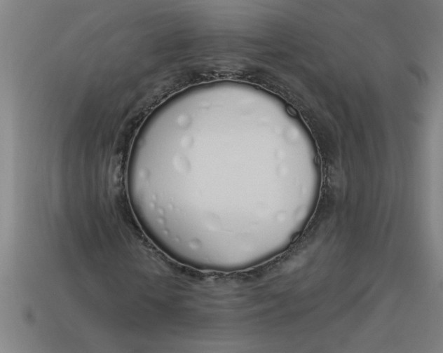 X0000113530818200910161347