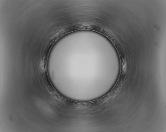 X0000113530819200910161347