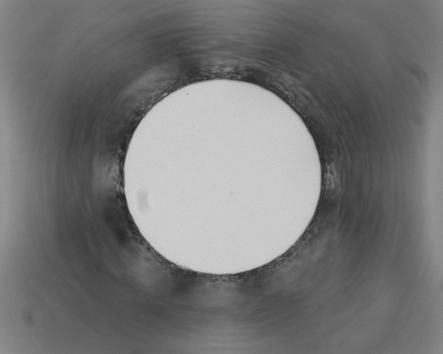 X0000113530820200910161347