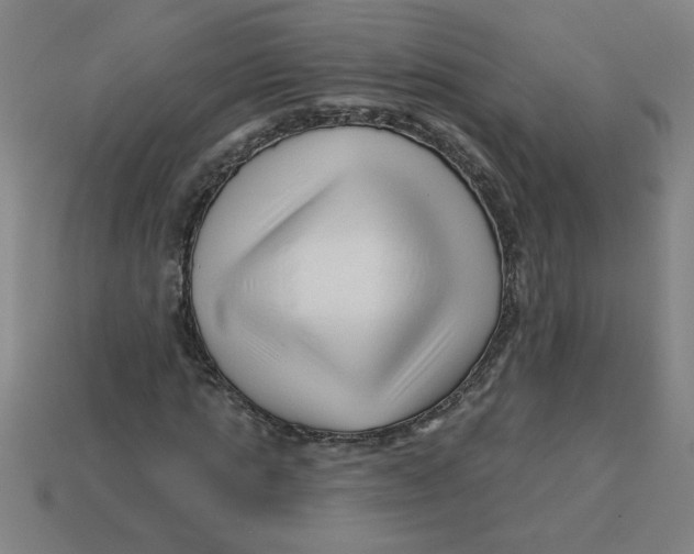 X0000113530821200910161347