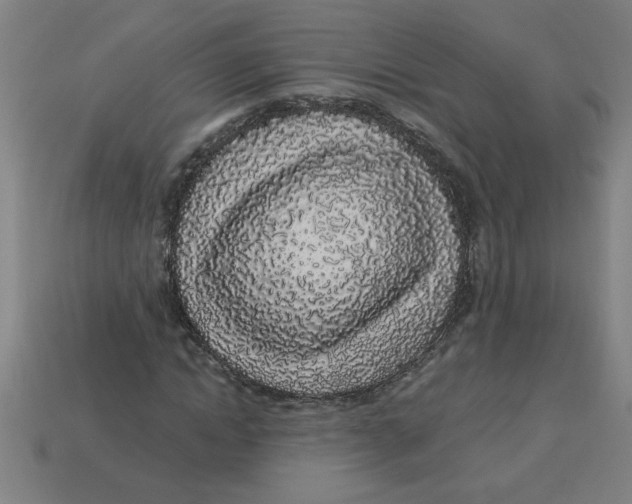 X0000113530822200910161347