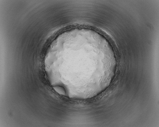 X0000113530823200910161347