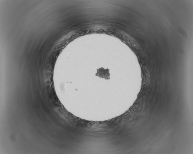 X0000113530824200910161347