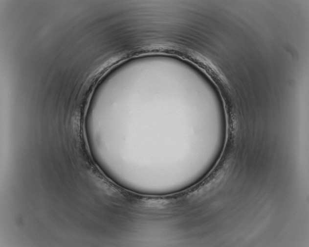 X0000113530825200910161348