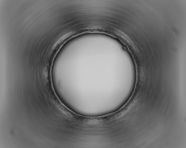 X0000113530826200910161348