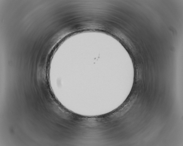 X0000113530828200910161348