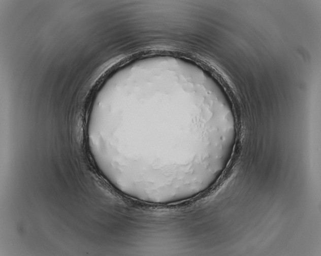 X0000113530829200910161348