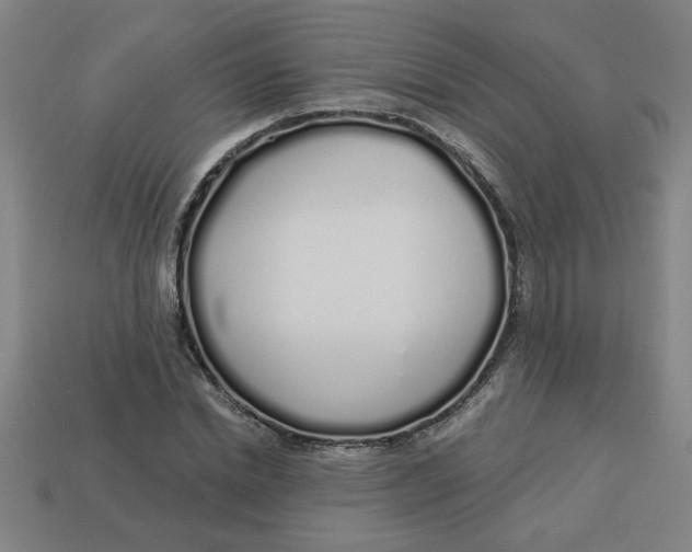 X0000113530830200910161348