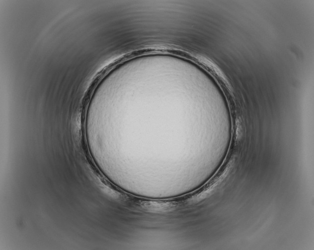 X0000113530831200910161348